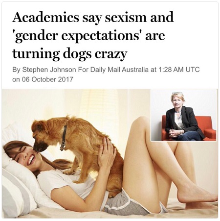 sexism harmful to dogs.jpg